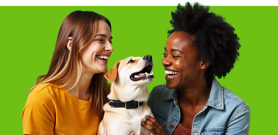 Refer a friend